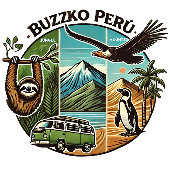 HUACACHINA EXPERIENCES